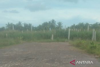 Kelanjutan pembangunan Masjid Cheng Ho Rohil belum ada lampu hijau