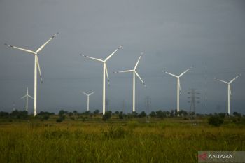 Year-ender -- Govt striving to develop NRE to achieve zero emissions