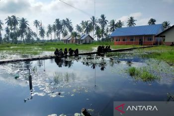 Pendangkalan sungai bikin banjir di Meranti tak surut, Pemprov diminta turun tangan