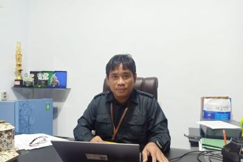 BPS: Persentase kemiskinan di Luwu Utara menurun di 2022