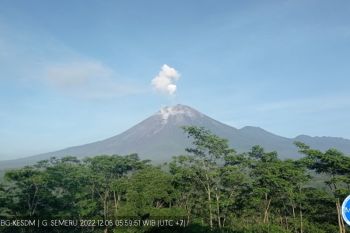 Aktivitas Gunung Semeru masih didominasi letusan dan guguran pada Selasa