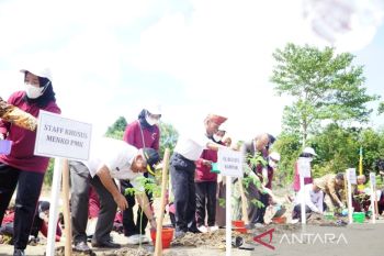 Menko PMK ajak warga Kampar budidaya tanam kelor