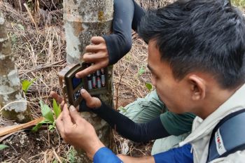 Ikut jaga satwa liar, BKSDA-Sintas latih masyarakat Salareh Aia Agam