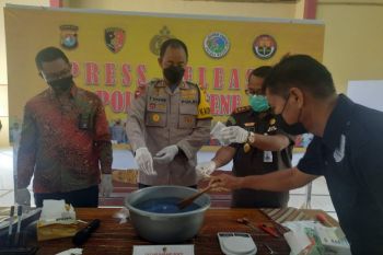 Polres Majene musnahkan 109,196 gram sabu-sabu