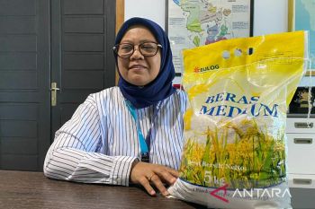 Bulog Sulawesi Tenggara pastikan stok pangan cukup jelang Natal dan Tahun Baru