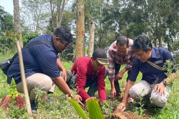 ANTARA rayakan HUT dan dukung Bulan Menanam Nasional