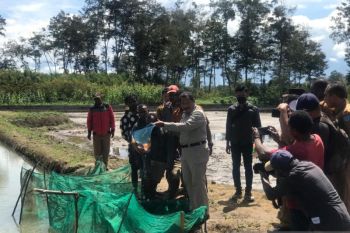 Pemkab Jayawijaya latih masyarakat produksi ikan asin