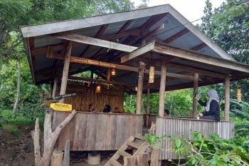 Kabupaten Jeneponto miliki desa wisata kopi di Rumbia