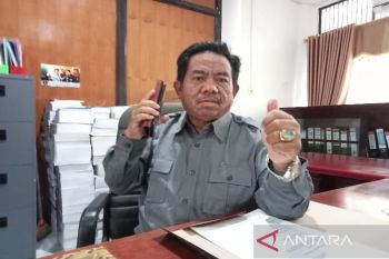 Pemkot diminta segera tebang pohon rawan tumbang di Kota Palangka Raya