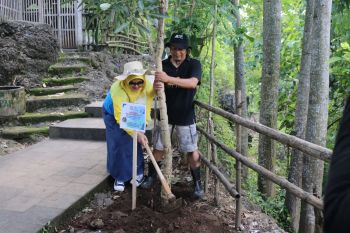 Alumni Unair Tulungagung gelar penghijauan di gunung purba
