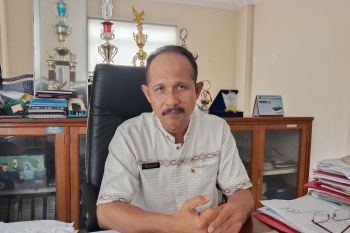 Pemkab klaim persediaan bahan pokok di Agam aman jelang akhir tahun
