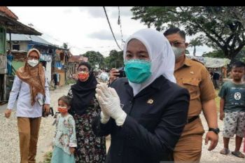 Warga Palembang diimbau tingkatkan kewaspadaan DBD