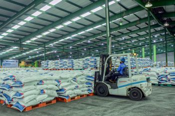 Pusri jamin stok pupuk tersedia selama musim tanam