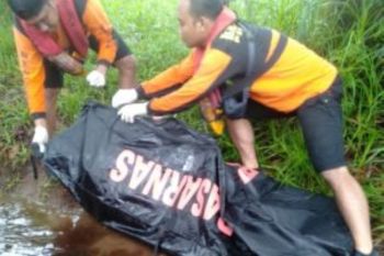 Tim SAR temukan pemancing tewas diterkam buaya