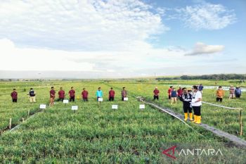 DPP Kulon Progo menyosialisasikan penghapusan tiga jenis pupuk bersubsidi