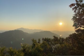 Menakar intervensi teknologi terhadap lingkungan dan budaya