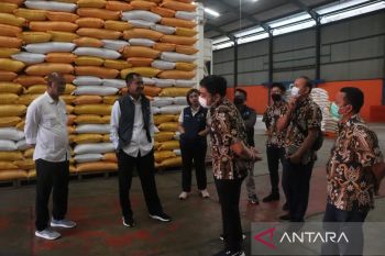 Pemprov Kepri pastikan stok bahan pangan di Batam aman hingga Tahun Baru