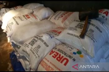 Distribusi pupuk di Pekalongan dipastikan lancar jelang masa tanam