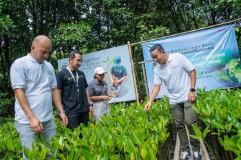 Telkomsel mendukung pengurangan emisi karbon lewat program carbon offset
