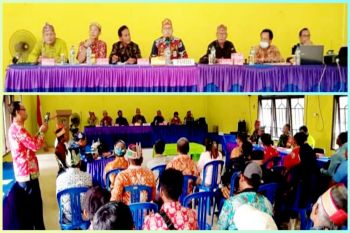 Kustaman Hadi terpilih jadi damang Katingan Tengah