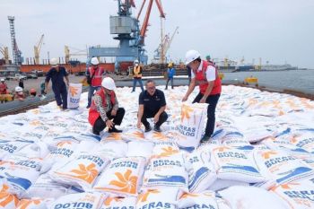 Bulog pastikan kedatangan beras impor jamin stabilisasi harga di pasaran