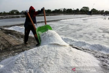 Balai Kemenperin kembangkan teknologi untuk percepat produksi garam
