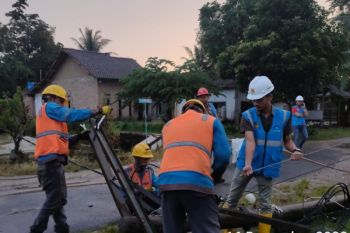 PLN pulihkan sistem kelistrikan di dua kabupaten terdampak cuaca ekstrem