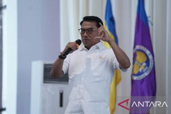 KSP Moeldoko sebut perlu sosialisasi pangan alternatif kurangi ketergantungan beras