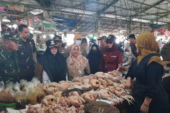 Wabup Paser sidak sembako jelang Natal dan Tahun Batu