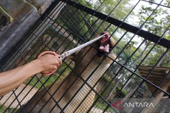 Ini objek wisata wajib dikunjungi saat libur Natal