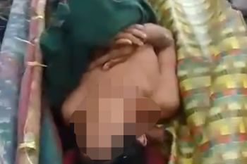 Warga Siak dilaporkan tewas diterkam harimau