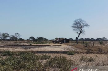 BMKG sebut wilayah Kualin NTT masih alami HTH panjang