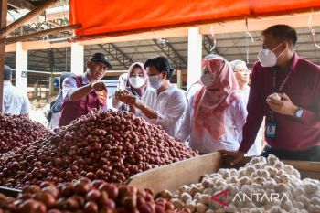 Satgas: Ketersediaan pangan di NTB aman jelang Natal-Tahun Baru 2023