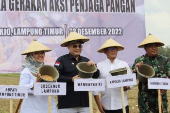 Wamentan: Pasokan pangan stabil hadapi Natal dan tahun baru