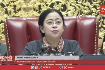 Ketua DPR RI Puan Maharani sebut peringatan Hari Ibu jadi momentum perempuan semakin berdaya