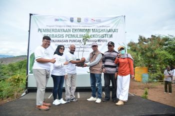 PELNI Tanam Ribuan Pohon Kemiri di Kota Bima