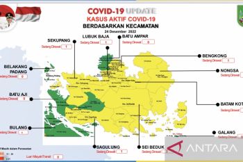 Lima kecamatan di Batam zona hijau COVID-19