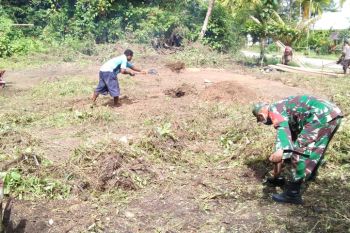 Koramil Supiori Utara bantu warga buka lahan kosong untuk perkebunan