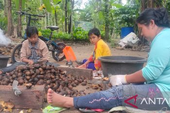 JBI dorong petani di OKU Selatan budi daya pinang gajah