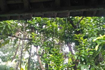 BMKG keluarkan peringatan dini cuaca ekstrem di NTB
