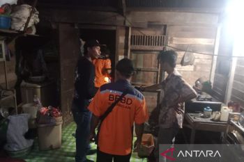 Pria paruh baya di Balangan tewas diduga digigit ular