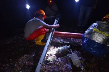 PLN NTT pulihkan kerusakan listrik akibat cuaca ekstrem di Pulau Sumba