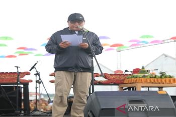 Paman Birin meriahkan "Batfest" di Tanah Bumbu