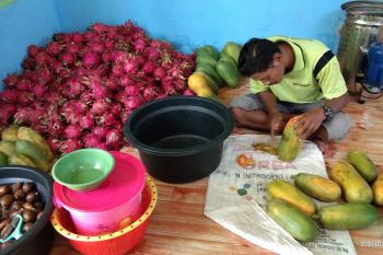 PLN dorong UMKM Papua naik kelas lewat bantuan program TJSL