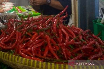 Harga  kebutuhan masyarakat di Purwokerto turun