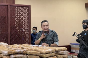 BNN sita 223 kg ganja jaringan Aceh-Medan-Depok