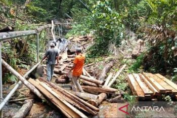 Polisi kehutanan buru pembalak liar di Gunung Lengkuas Bintan