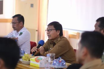 Pemkab Luwu Utara siapkan subsidi bunga pinjaman untuk UMKM atasi kemiskinan