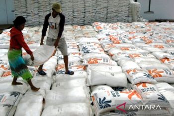 Bulog Sulselbar jamin stok pangan aman hingga awal 2023