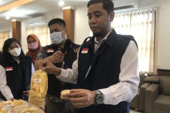 BPOM temukan zat berbahaya di ikan asin dan kerupuk di Batam